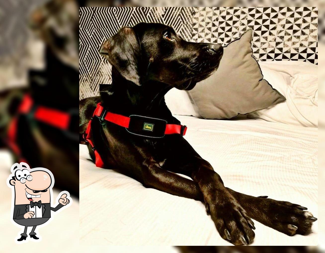 Winery & Restaurant August