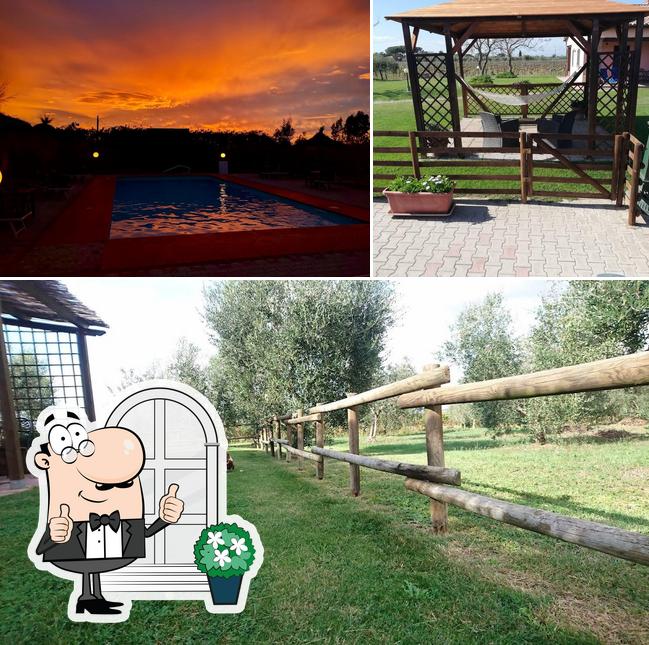 Gli esterni di Agriturismo Il Laghetto - Agriturismo Alberese con Piscina