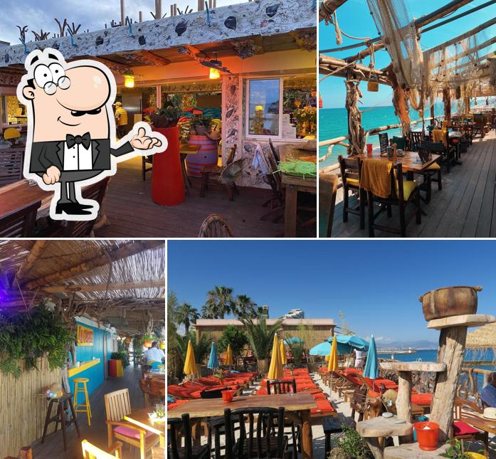 Sitemapcdatahttpsshopinf Inetcomla Cabane Villeneuve Loubet Avis