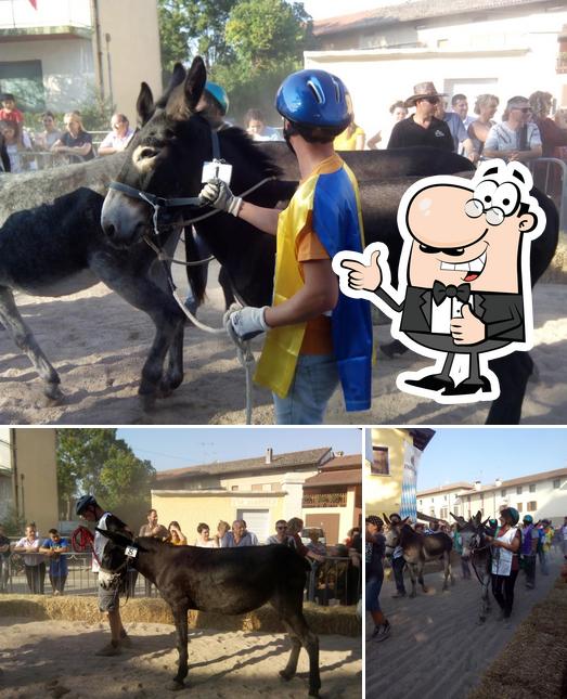 Ecco un'immagine di Bergonzi Giada