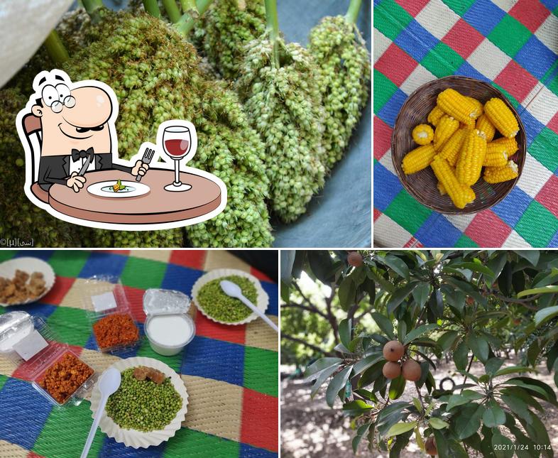 Phalke Farm Chikoochi Wadi Pure Veg