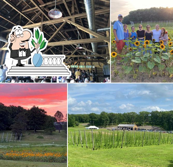 Hops On The Hill, 275 Dug Rd in Glastonbury Restaurant menu and reviews