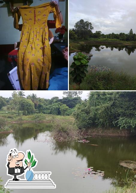 Kabalamma Tea Stal - Lotus lake View