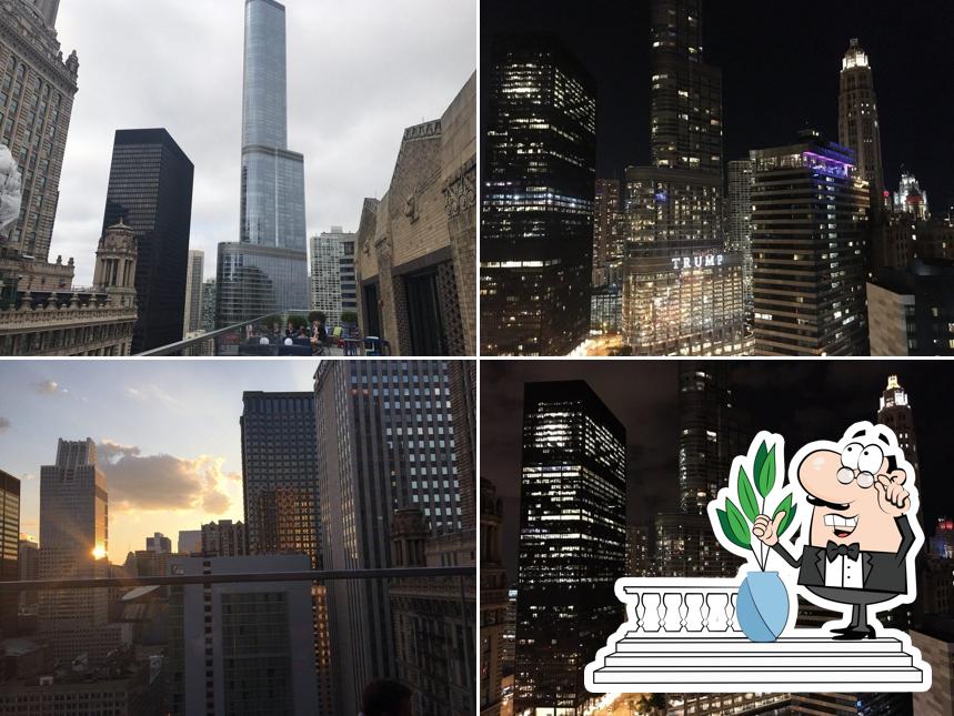 Cerise Rooftop in Chicago Restaurant menu and reviews