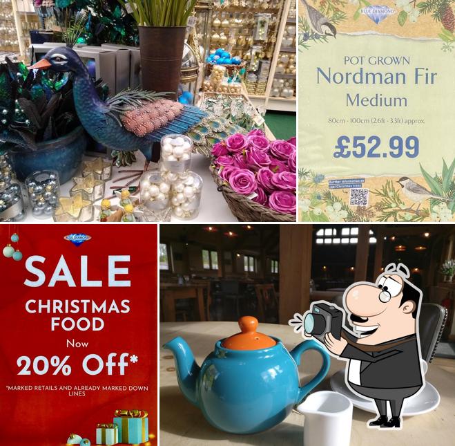 Newbridge Nurseries Garden Centre in Horsham Restaurant reviews