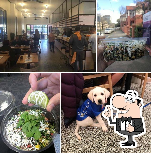 Menu of Square & Compass cafe, East Melbourne reviews and ratings