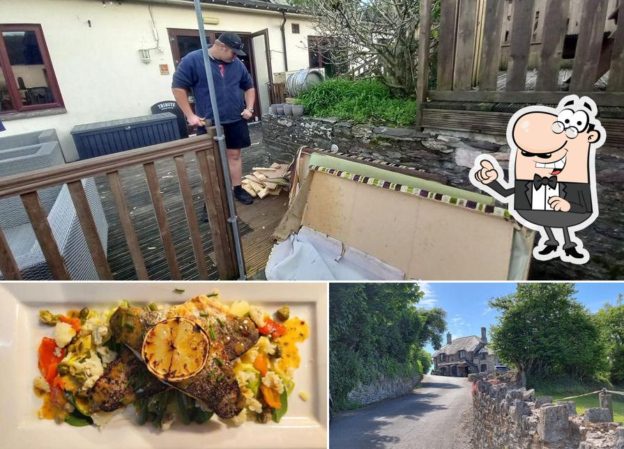 The Odd Wheel, Knighton Rd in Plymouth Restaurant menu and reviews