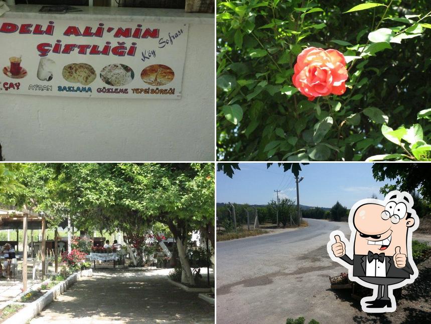 Here's a pic of Deli Ali'nin Çiftliği