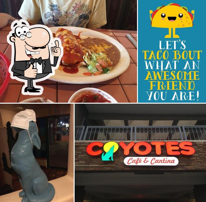 Coyote's Cafe & Cantina in Henderson - Restaurant menu and reviews