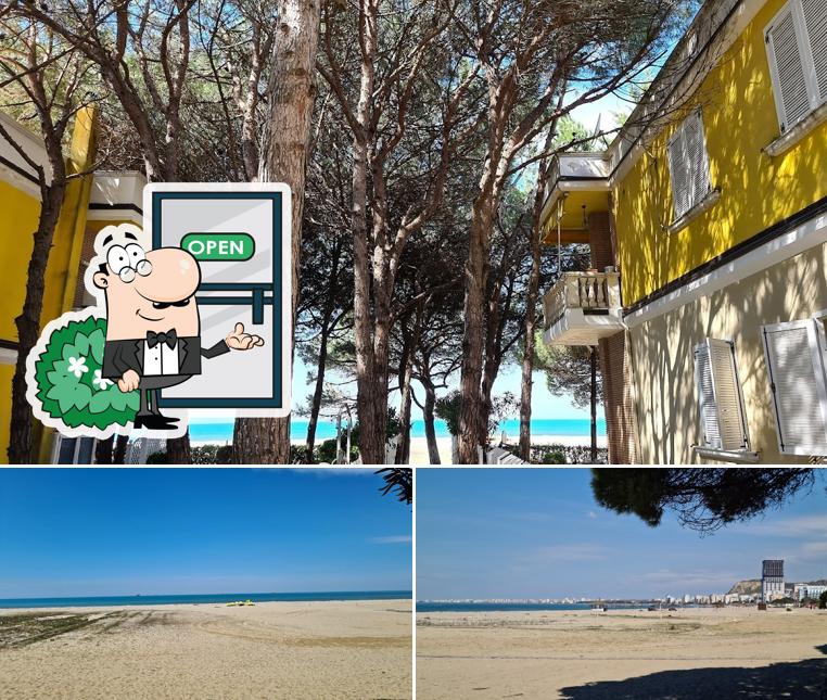 Beach Bar Edi