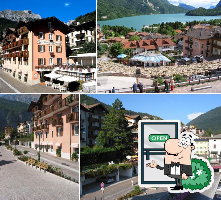 Hotel Stella Alpina a Molveno vista lago panoramica