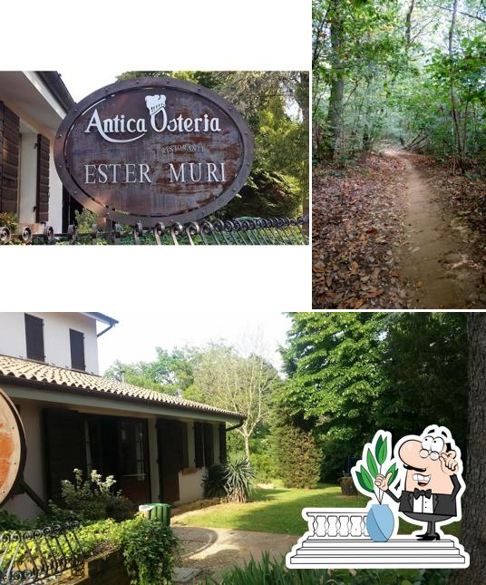 Guarda gli esterni di Antica Osteria Ester Muri