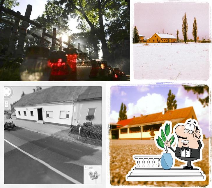 Gli esterni di Gostilna Baranja, Metka Legen Baranja S.P