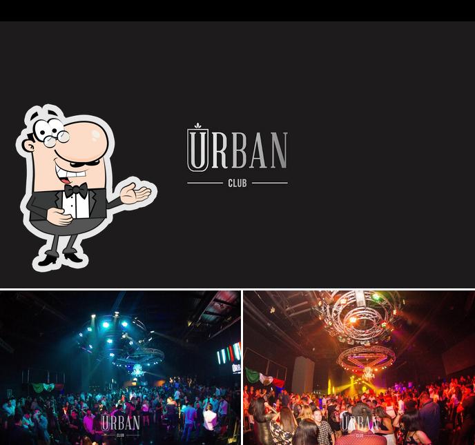Top 62+ imagen urban night club monterrey
