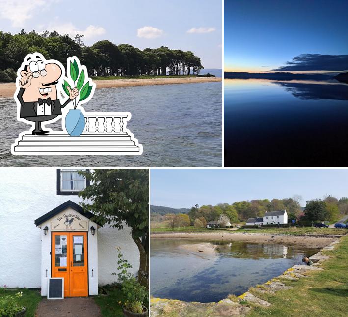 The Oystercatcher, 3 Otter Ferry Salmon in Otter Ferry Restaurant