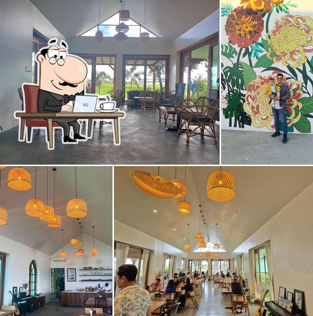 Harvest Cafe x Kitchen