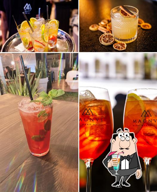 Magnvs Wine . Beer . Drink