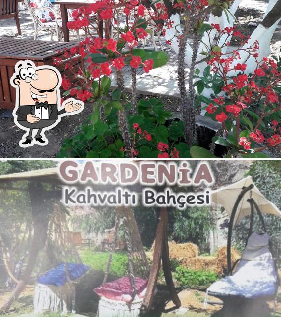 Это снимок ресторана "gündoğan gardenia Kahvaltı"