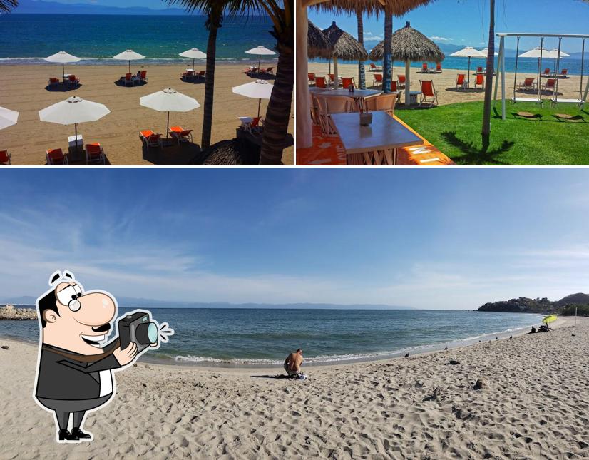 Eva Mandarina Beach Club, La Cruz de Huanacaxtle - Restaurant reviews
