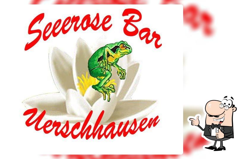 Restaurant-Bar Seerose, beim Nussbaumersee, 8537 Uerschhausen