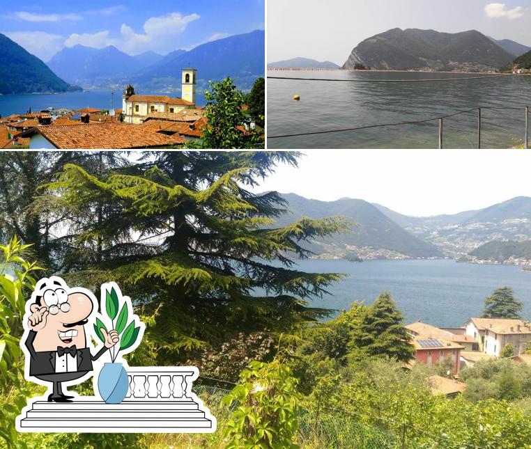 Guarda gli esterni di L'Isola di Ribola