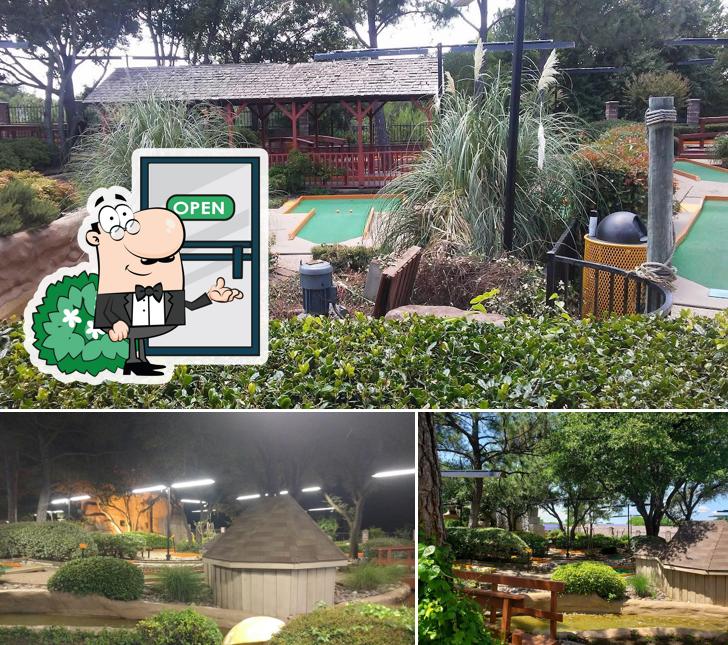 PuttPutt Fun Center in Arlington Restaurant reviews