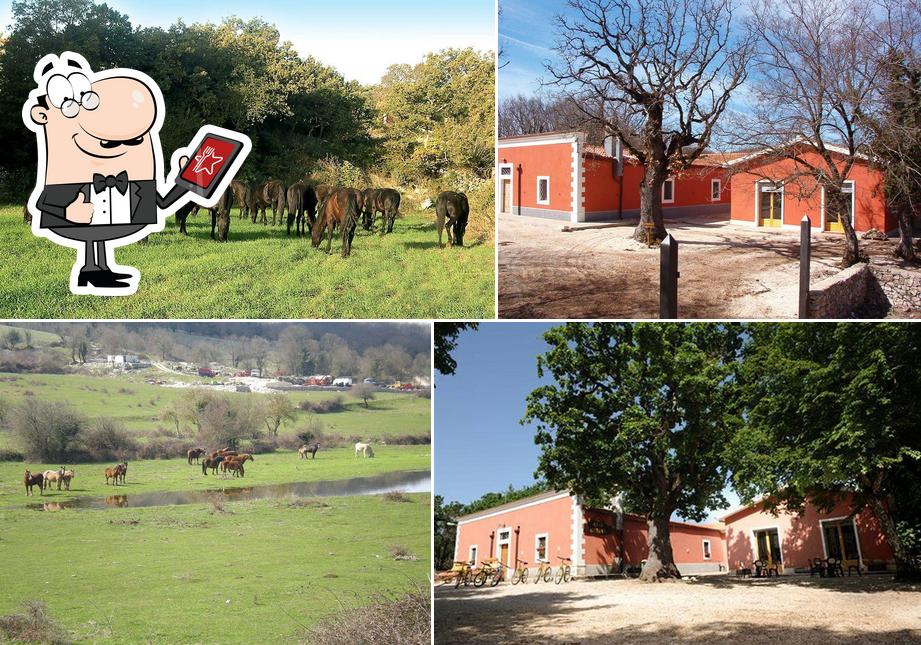 L'extérieur de Casa Natura