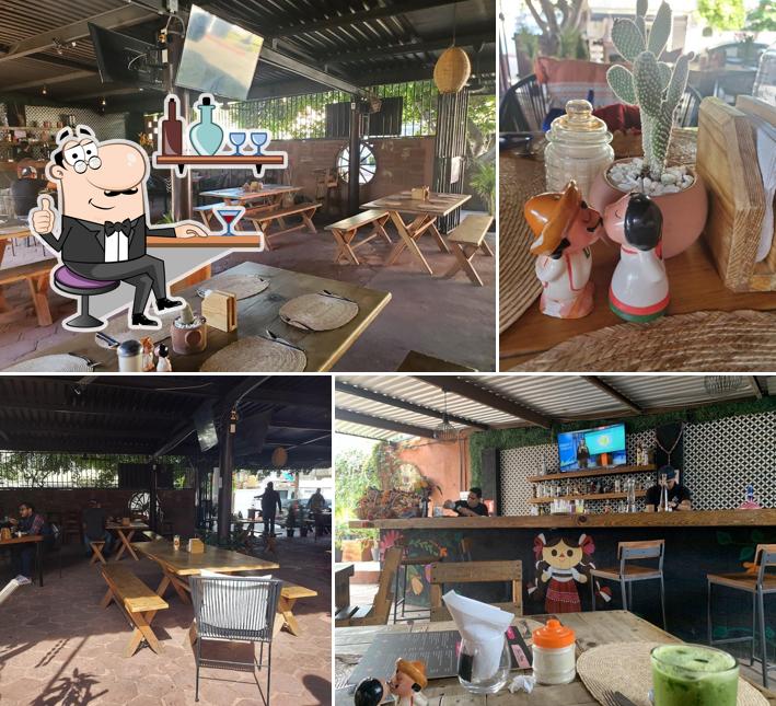 Casa Bonita pub & bar, Cabo San Lucas Restaurant reviews
