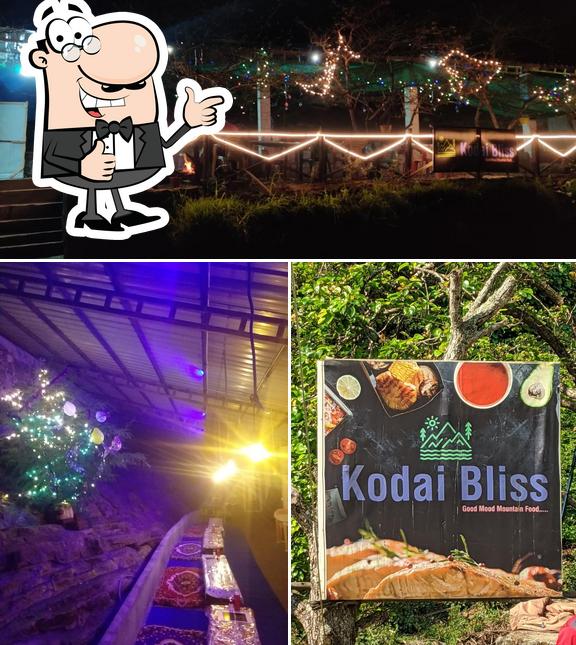 Look at this image of Kodai Bliss