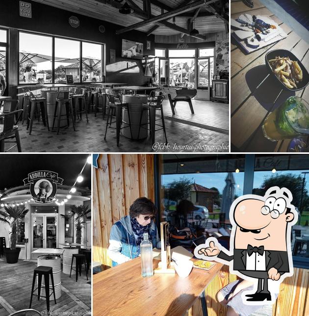 ARDILLA CAFE