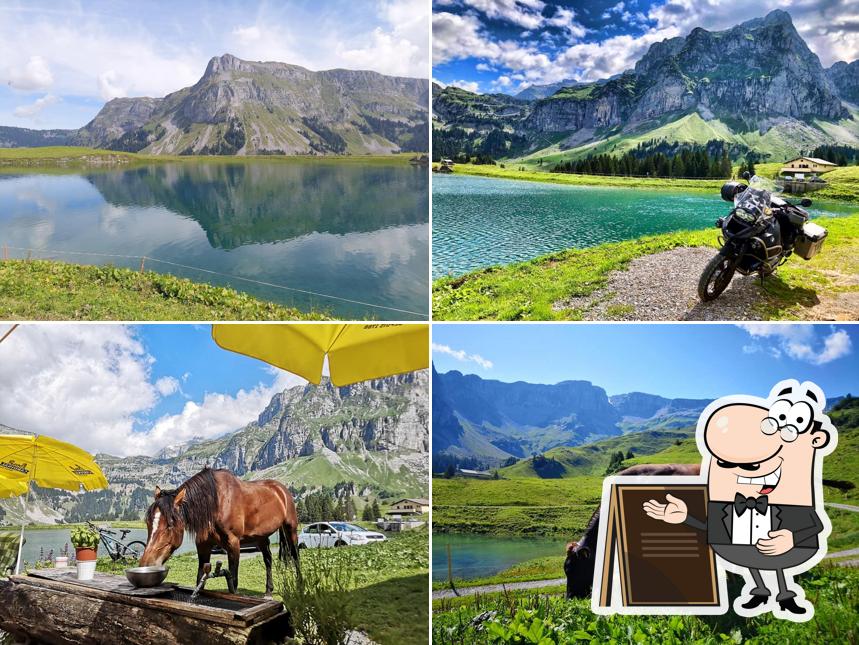 Alpwirtschaft Waldi-Ranch