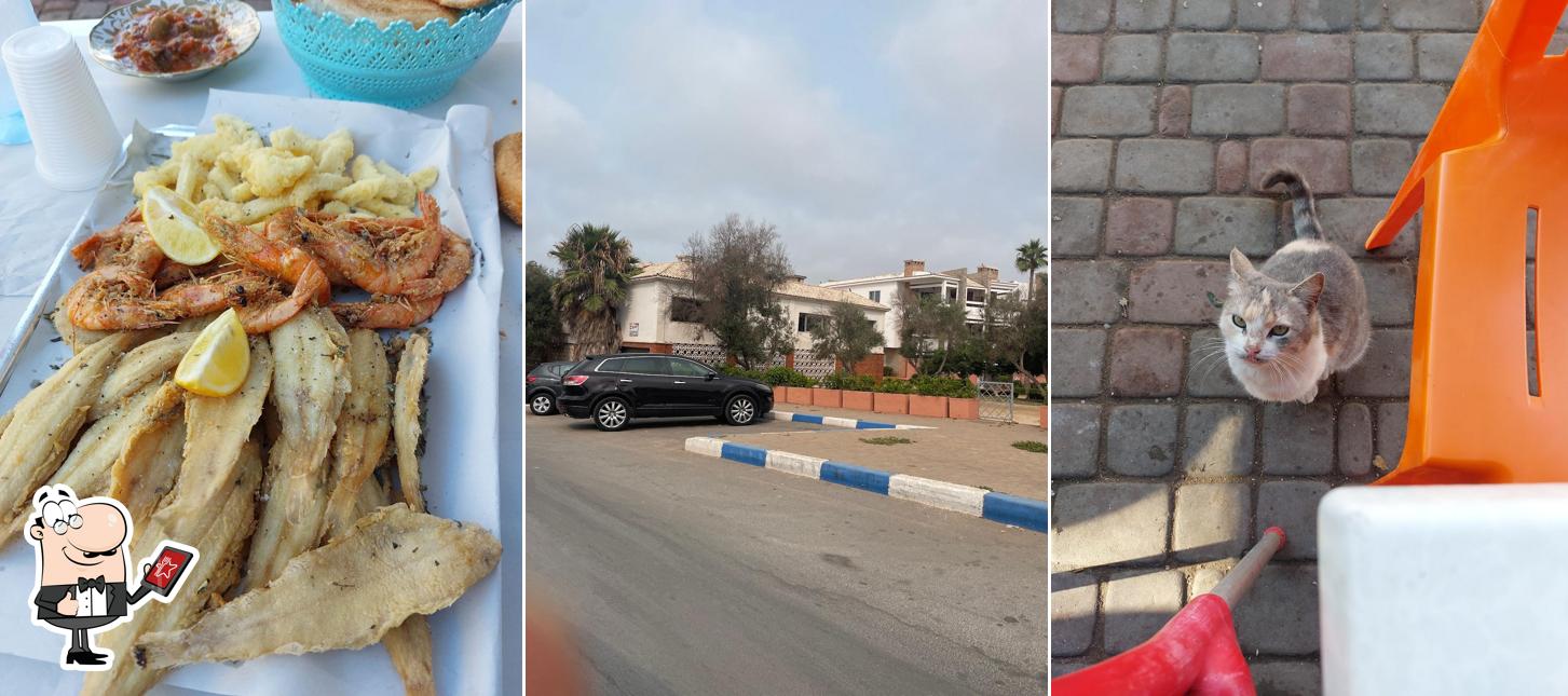 اسماك الناجي