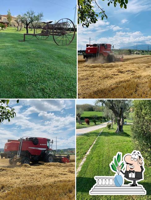 Gli esterni di Agriturismo La Collinetta