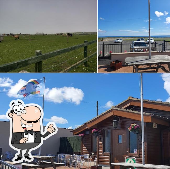 Hillhead Tea Room in Sunderland Restaurant reviews