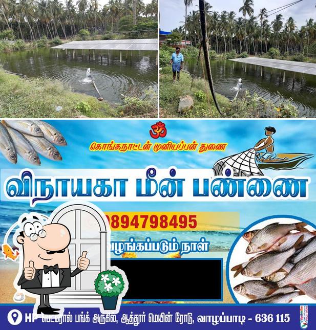 Vinayaga fishing farms