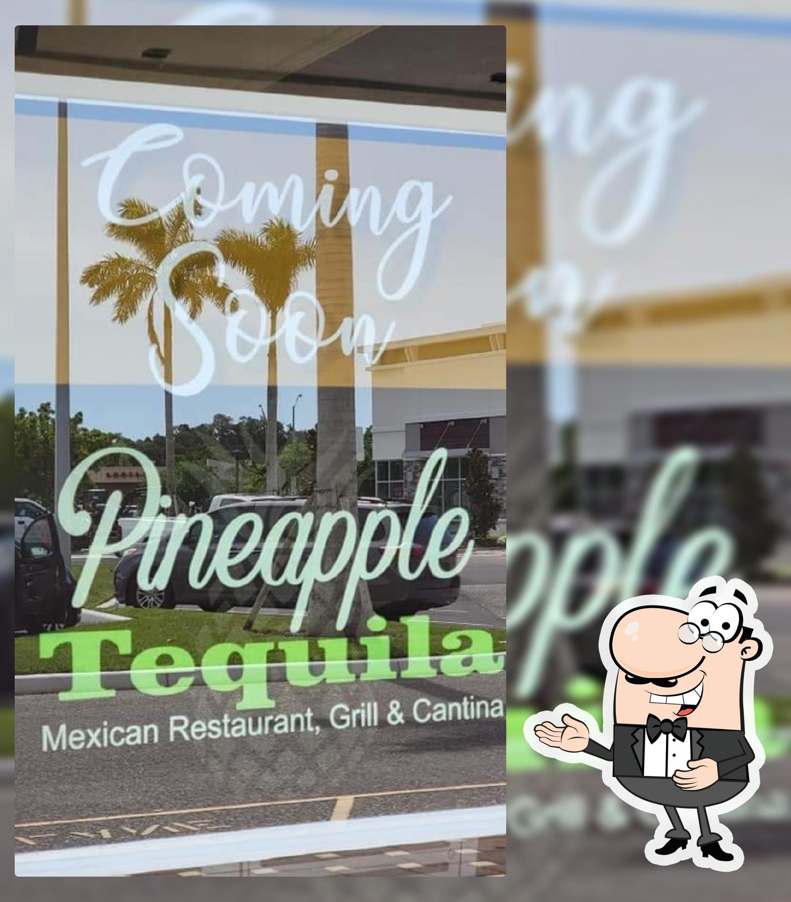 Pineapple Tequila Mexican Restaurant, Grill & Cantina in Venice