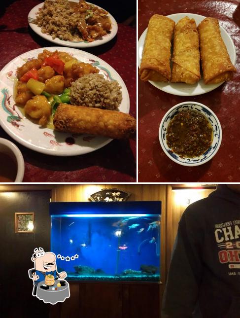 Lotus Palace Adrian Mi