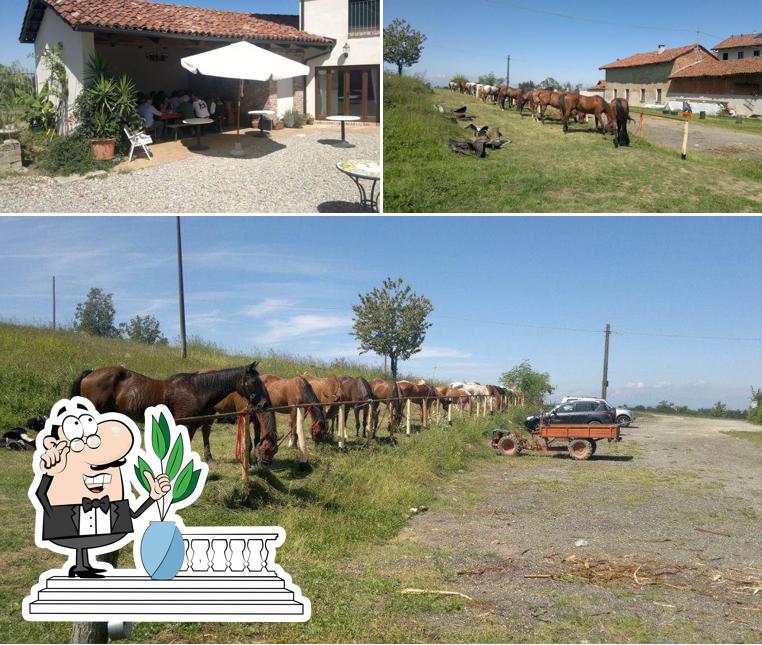 Goditi la vista dall'area esterna di Cascina Monticone