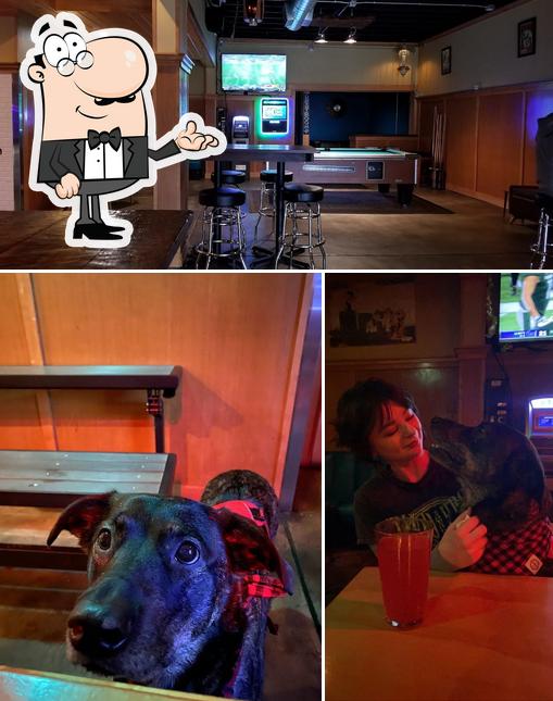 The Alleycat Patio & Lounge in Restaurant menu and reviews