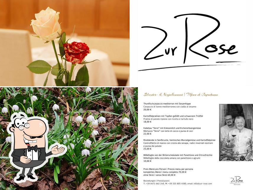 Restaurant Zur Rose San Michele Restaurant menu and reviews