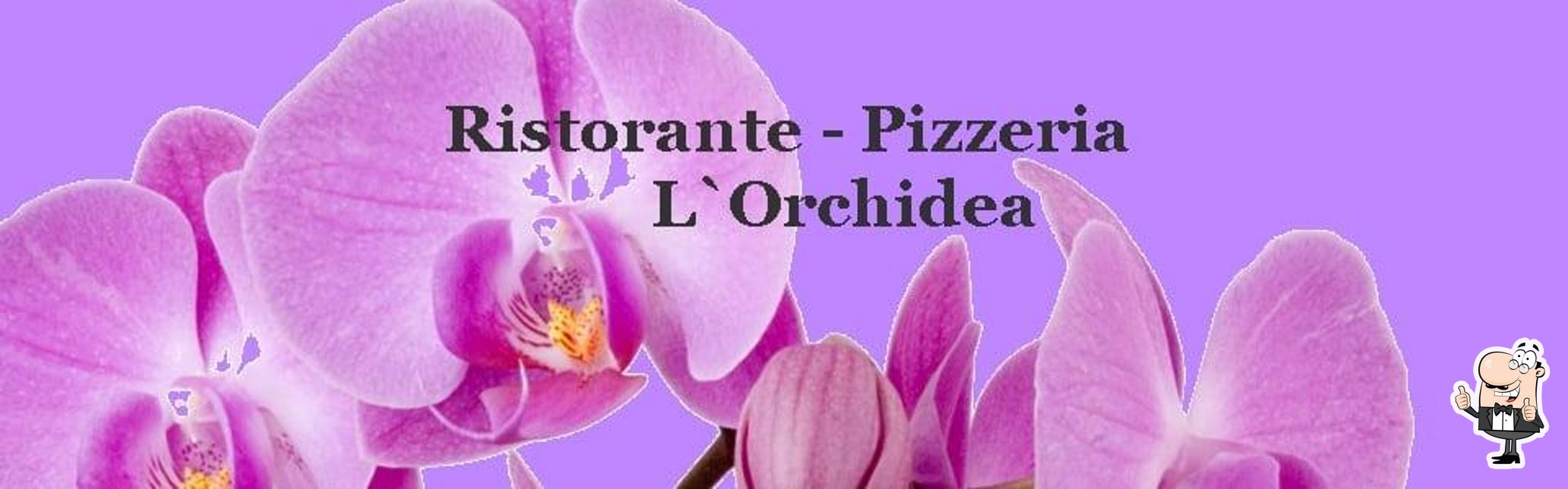 Voir cette photo de l'Orchidea