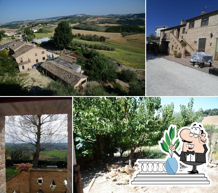 Gli esterni di Agriturismo Il Vecchio Pioppo