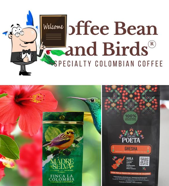 See this photo of COFFEE BEAN AND BIRDS