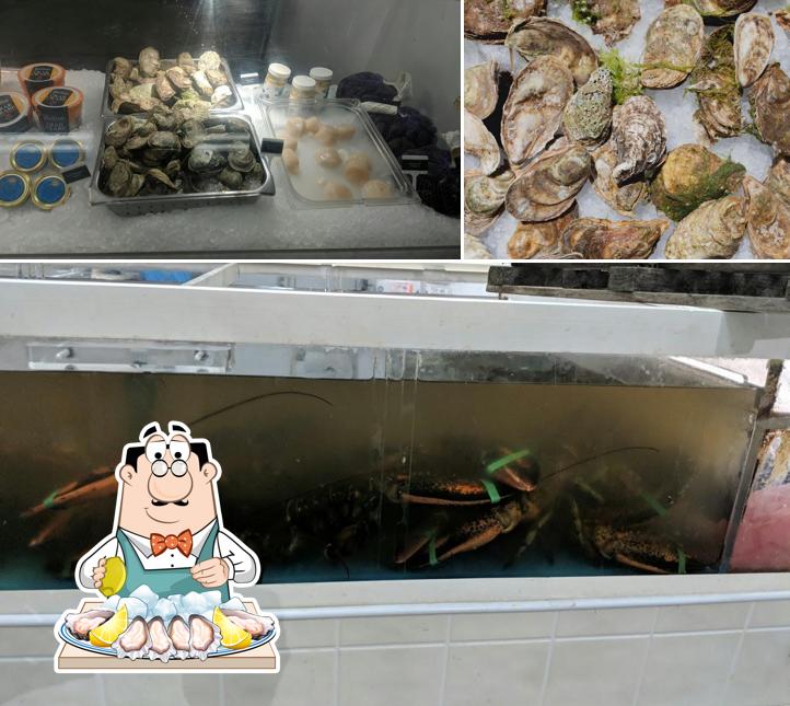 Oysters at Capital Fish Markets Ltd
