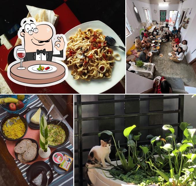 Food at Green Rover Hostel