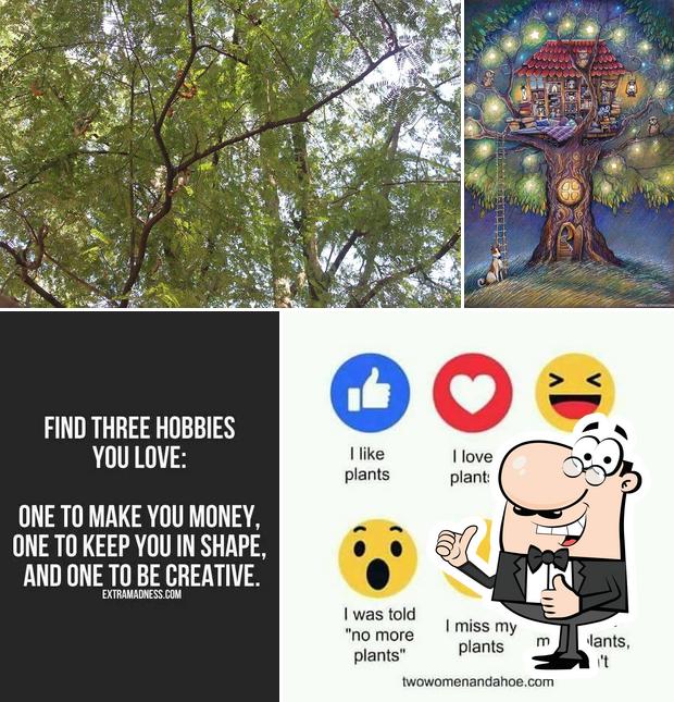 The Tamarindtree