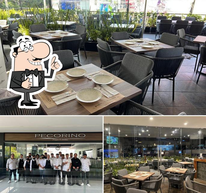 Pecorino Kosher restaurant, Mexico, Av. Stim 39 Restaurant reviews
