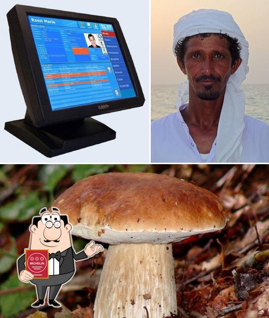 Ecco un'immagine di Argilla Argillani Prodotti Tipici & Funghi Porcini