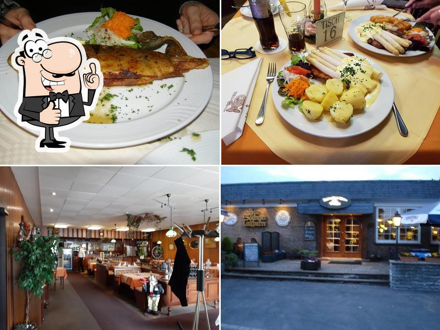 Kartoffel-Kiste Restaurant image