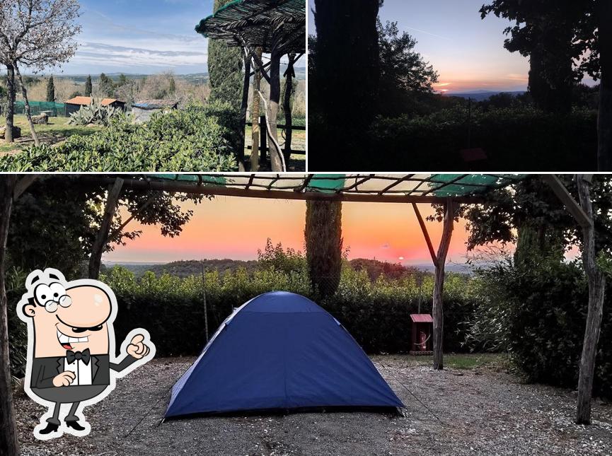 Goditi la vista dagli esterni di La Serra del Pino - Agricampeggio